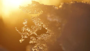 Синоптик Тишковец предупредил о возможном снеге в Москве в апреле и мае