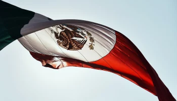 Мексиканский картель похитил москвичку и 30 грузин у границы с США