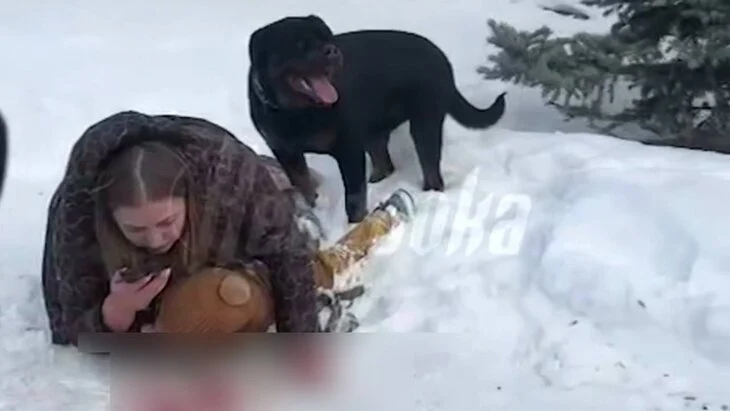 Хозяйка напавшего на мать с ребенком ротвейлера в Екатеринбурге отказалась усыплять пса Хозяйка напавшего на мать с ребенком ротвейлера в Екатеринбурге отказалась усыплять пса