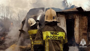 МЧС Кубани опровергло информацию о гибели 28 крокодилов и черепахи при пожаре