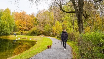 Сергей Собянин сообщил о рекорде посещаемости парков Москвы