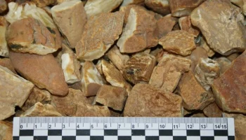 Сотрудники ФТС и ФСБ РФ пресекли незаконный вывоз в Литву более 48 кг янтаря