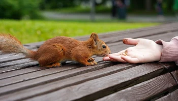 Синоптики предупредили москвичей о жаркой малооблачной погоде 9 июля