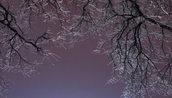Водителей в Москве призвали пересесть на городской транспорт из-за ледяного дождя