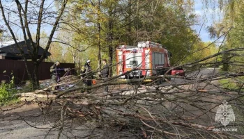 Сотрудники МЧС продолжают ликвидировать последствия непогоды в Подмосковье
