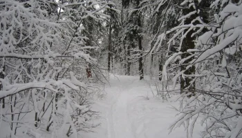 Группа туристов пропала на пермской горе Ослянка