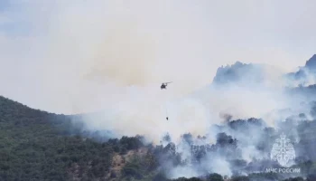 Пожар распространился на Карадагский заповедник в Крыму