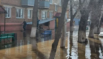 Мэрия Оренбурга заявила об эвакуации подтопленного дома с обрушенной пристройкой