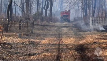 Сухая растительность загорелась около кладбища во Владикавказе на 3 тыс "квадратах"