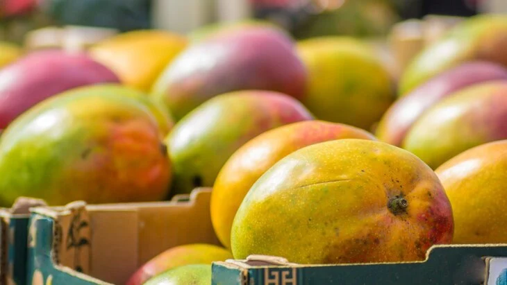 Гвинея выразила заинтересованность в расширении поставок манго в Россию