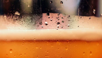 Новый ГОСТ на пиво появится в России в 2027 году