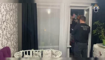 РИА Новости: подозреваемая в убийстве двух девочек в Тольятти дала признательные показания