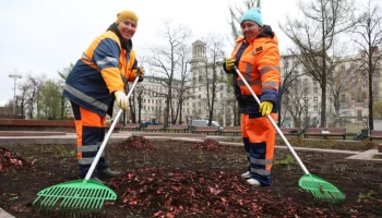 Городские клумбы скоро украсят миллионы цветов