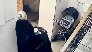 Правнук убитого экс-мэра Самары Тархова помещен в приют после ареста матери