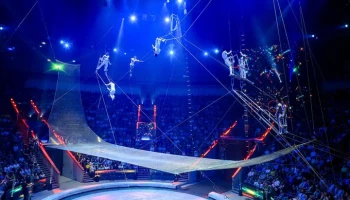 Гимнаст упал и ударился головой о манеж в Большом Московском цирке