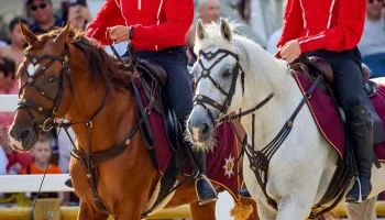 Собянин поддержал проведение второго фестиваля &laquo;Конное достояние России&raquo;