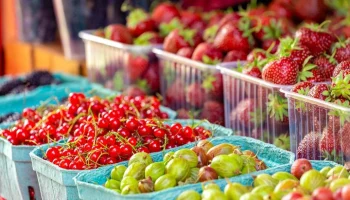 Ягодный сезон стартовал в столице