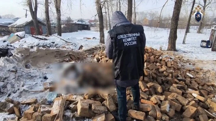 Ребенок погиб из-за обрушившейся на него кирпичной печи в Забайкалье Ребенок погиб из-за обрушившейся на него кирпичной печи в Забайкалье