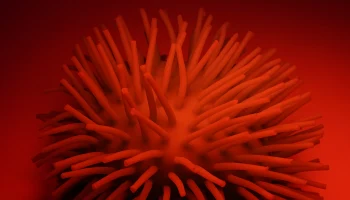 Ученые предупредили о риске пандемии птичьего гриппа опаснее коронавируса