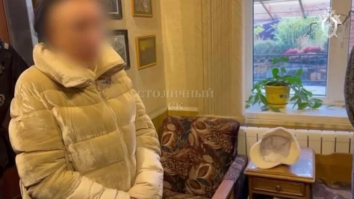 СК предъявил обвинение московской пенсионерке, заказавшей убийство мужа СК предъявил обвинение московской пенсионерке, заказавшей убийство мужа