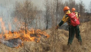 Тридцать семь лесных пожаров ликвидируют в Забайкальском крае