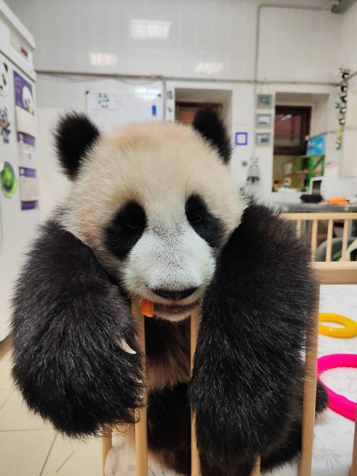 Фото: Telegram / Светлана Акулова