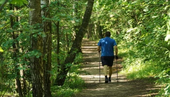 Москва займется реализацией долгосрочной программы сохранения &laquo;Лосиного острова&raquo;