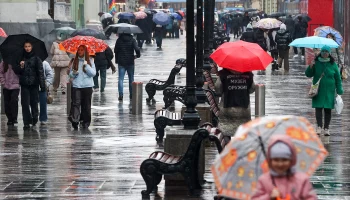 Синоптики предупредили москвичей о снеге с дождем и ветреной погоде 21 ноября