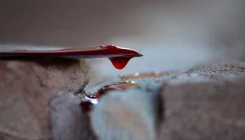 Стала известна причина нападения школьника с ножом на сверстника в Пермском крае