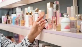 В ФАС раскритиковали законопроект о "российской полке" &ndash; СМИ