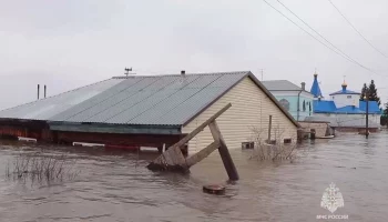 Глава МЧС РФ назвал напряженной ситуацию с паводком в Курганской области