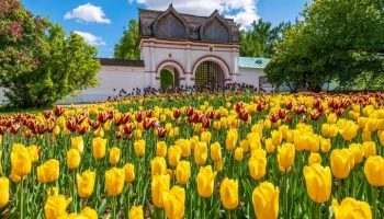 Собянин поздравил москвичей с Праздником Весны и Труда