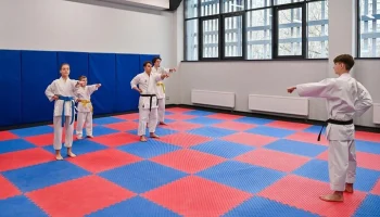 Москва передала более 100 участков для строительства спорткомплексов с 2016 года