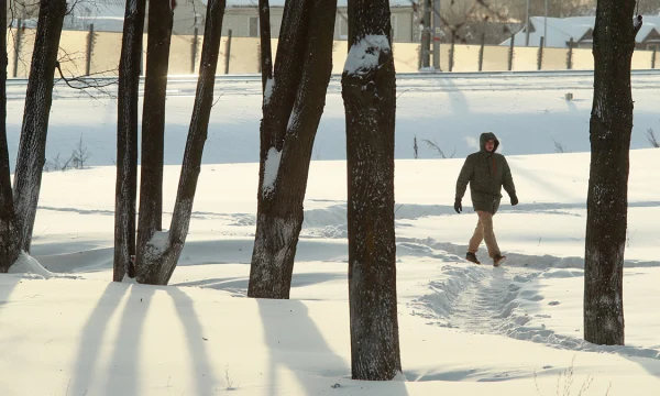 Метеоролог Позднякова рассказала, когда температура в Москве придет в норму Метеоролог Позднякова рассказала, когда температура в Москве придет в норму
