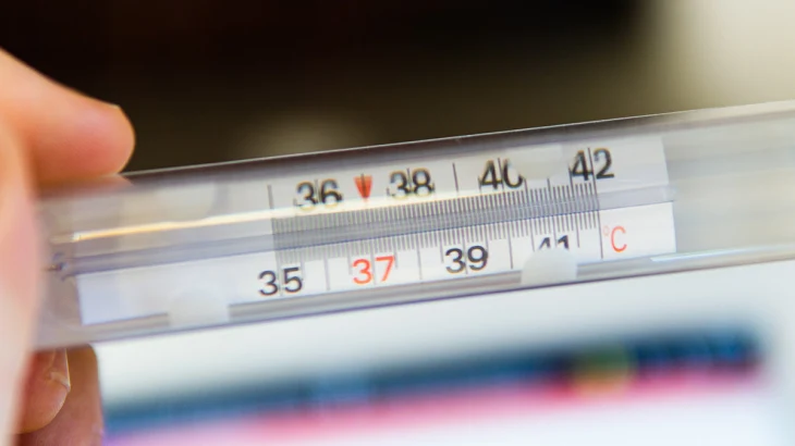 Поначалу похож на простуду: врач Крючков — о симптомах смертельного вируса Нипах Поначалу похож на простуду: врач Крючков — о симптомах смертельного вируса Нипах