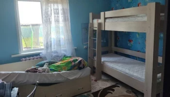 Женщина из Красноярского края зарубила дочь топором из-за обиды на мужа