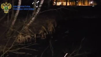 Тела двух детей найдены в пруду в Щербинке