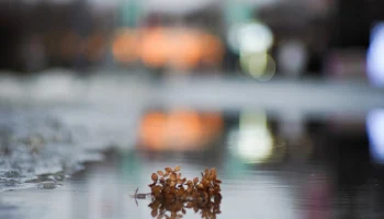 Синоптик Ильин рассказал, когда в Москву вернется оттепель&nbsp;