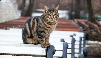 В ожидании похолодания: какой будет погода в Москве на предстоящих выходных