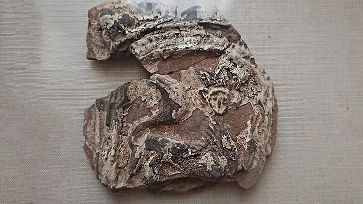 Московские археологи нашли 400-летние изразцы с изображением кошки Московские археологи нашли 400-летние изразцы с изображением кошки