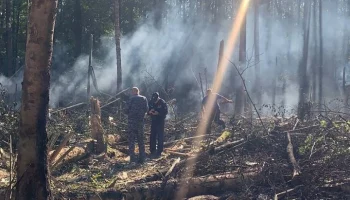 РИА Новости: отказ двух двигателей мог стать причиной крушения SSJ 100 в Подмосковье