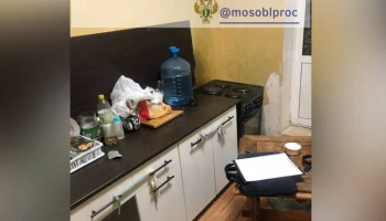 Газовая плита придавила ребенка в подмосковном Щелкове