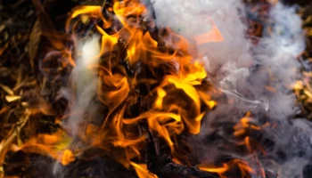 Около 19 человек погибли в результате лесных пожаров в Чили