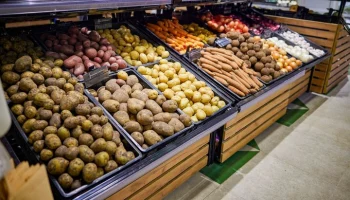 Россия остановила ввоз картофеля из Грузии
