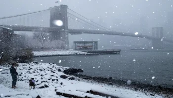 ABC: минимум 42 человека погибли в результате снегопада в США