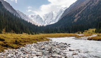 МЧС Киргизии начало поиски трех пропавших в горах граждан РФ