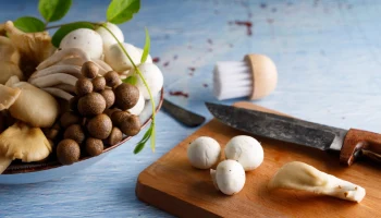 Спасение от деменции: чем полезны грибы и какие из них лучше выбрать