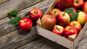 Профессор Гедикоглу: из-за заморозков в Турции снизится экспорт овощей и фруктов в РФ