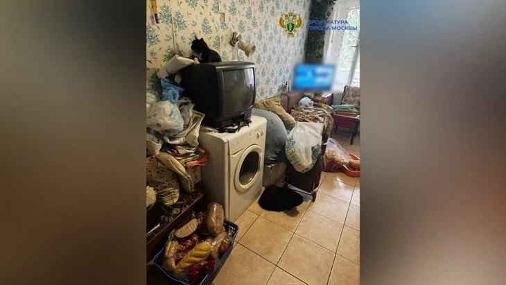 Прокуратура потребовала запретить москвичу содержать 4 кошек в квартире Прокуратура потребовала запретить москвичу содержать 4 кошек в квартире