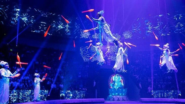 Уже 100 тысяч москвичей приняли участие в голосовании о цирке на Вернадского